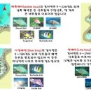디다이브