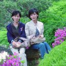 옥구공원 이미지