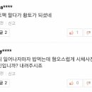 개이버