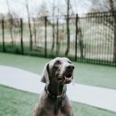 구미식당 이미지