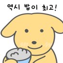 원조조방낙지 인동점 이미지
