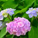 녹산고향동산1(기념관) 이미지