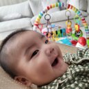 민들레재능어린이집 | 블로그 이웃 144, 티글모아태삶(캘리그래피, 동화)