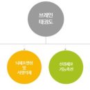 노화태권도 이미지