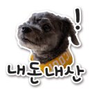 불티나 손만두 이미지