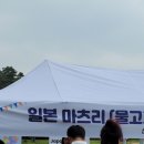 제14회 지구촌 어울림 축제 | 성남시 행사, 제14회 지구촌 어울림 축제 참여해봤어요.