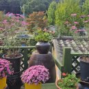 흙과 나무 이미지