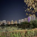 파인애플세탁소 이미지