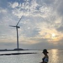 (주)삼일여행 이미지