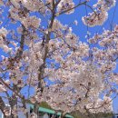 (주)비손