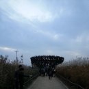 314회 일요걷기(10월19일 오후3시) 하늘공원 억새축제 참가자 명단 (리딩 : 하늘땅벗님) 이미지