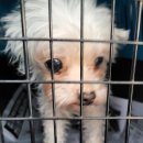 용당1동행정복지센터 이미지