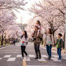 초가원조민박 | 🌸아산 가족 여행 : 곡교천 봄 벚꽃길 외암민속마을