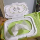 강아지물티슈 추천｜산책 후 매일 쓰게 된 코코와보리 애견물티슈 솔직후기