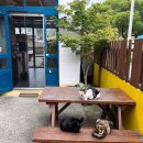 파니 게스트하우스 이미지