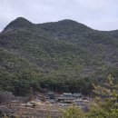 팔공산 둘레길 2구간 이미지