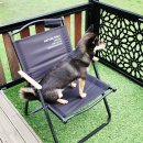 오펠라헬스케어코리아(주) | 콜레스테롤 유산균 세노비스 수퍼바이오틱스 콜레스테롤 추천