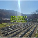 동안성공인중개사사무소 이미지