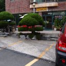 금련산추어탕 이미지