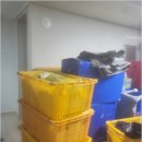 한집이사