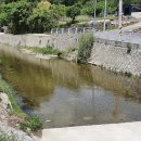 늘푸른펜션민박 이미지