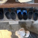 계원스테이 이미지