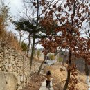 [인천 강화 돈대카페 아웃포스트] 강화 신상 오션뷰 대형카페 아웃포스트 후기