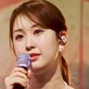 나무와새 이미지