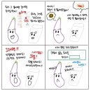 밀크버니도너츠