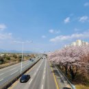 씨스테이 | 고속도로 전화번호, 긴급 상황 전에 꼭 저장하세요