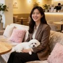 공간 담 | [선릉역/역삼역] 애견 복합공간 신상카페 카페담 방문 솔직 후기 - 애견 카페+병원+유치원 다 모였다...