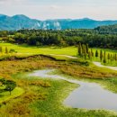 CC 골프존 이미지