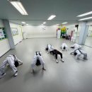 경희대 와우 태권도장 이미지