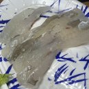 중앙시장 청년몰 | 삼척중앙시장 청년몰 횟집 회포장 삼척대왕대게