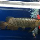 포에버농장 이미지