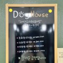 애견 미용실(도그하우스) 이미지