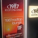 기장애견 이미지