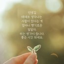 행복바이러스 Daum카페