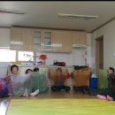 내대 1리 이미지