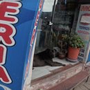 C.F세탁소 이미지