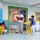 용인대 수 태권도장 이미지