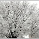 목포북교초등학교 이미지