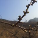 성실농원 이미지