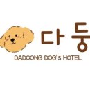 다둥 반려견 호텔 유치원 이미지