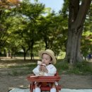 피드미 네이버블로그