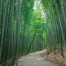 푸른 하늘과 봄 햇살, 담양 힐링 여행 BEST 4 이미지