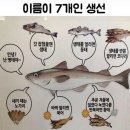외국에는 없는 '한국'에만 있는 말(전 세계에서 한국인이 1위인 것, 한국인이 해외여행 가면 불편한 것 5) 이미지