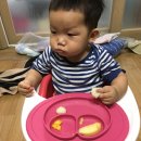 아그얼라 이미지