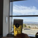 11650-1-10-583 | 후쿠오카 근교 버스투어 - 히타/삿포로맥주공장 [소소투어] 내돈내산 후기