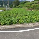 남해-238 이미지